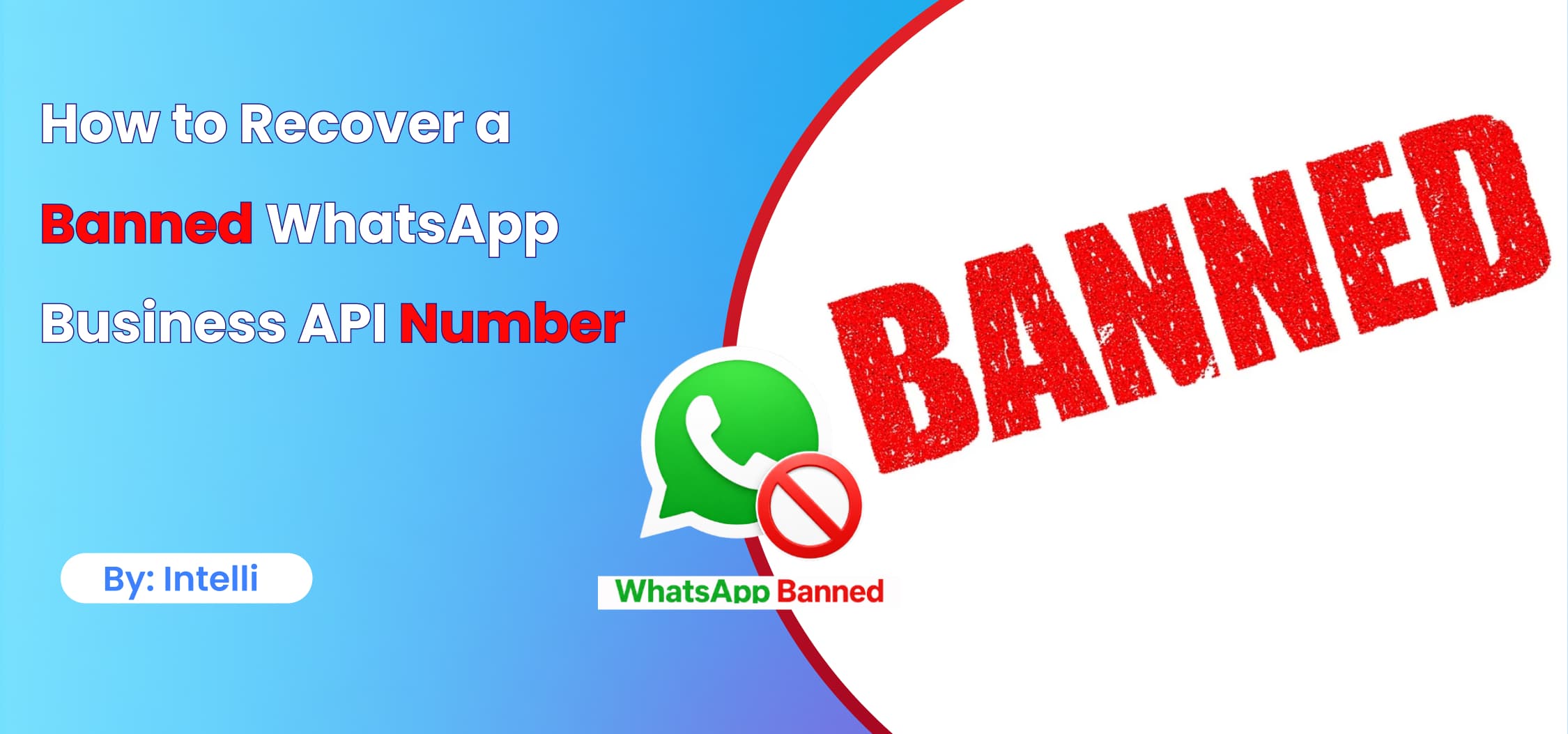 How to Recover a Banned WhatsApp Business API Number