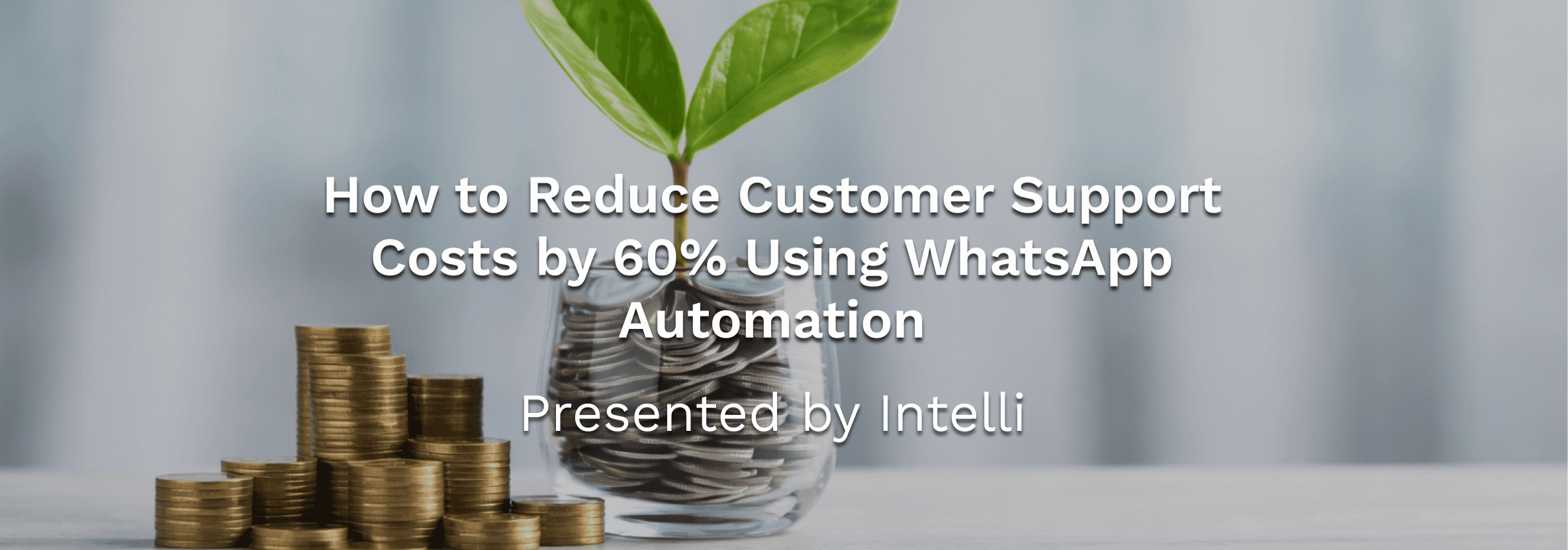 How to Reduce Customer Support Costs by 60% Using WhatsApp Automation